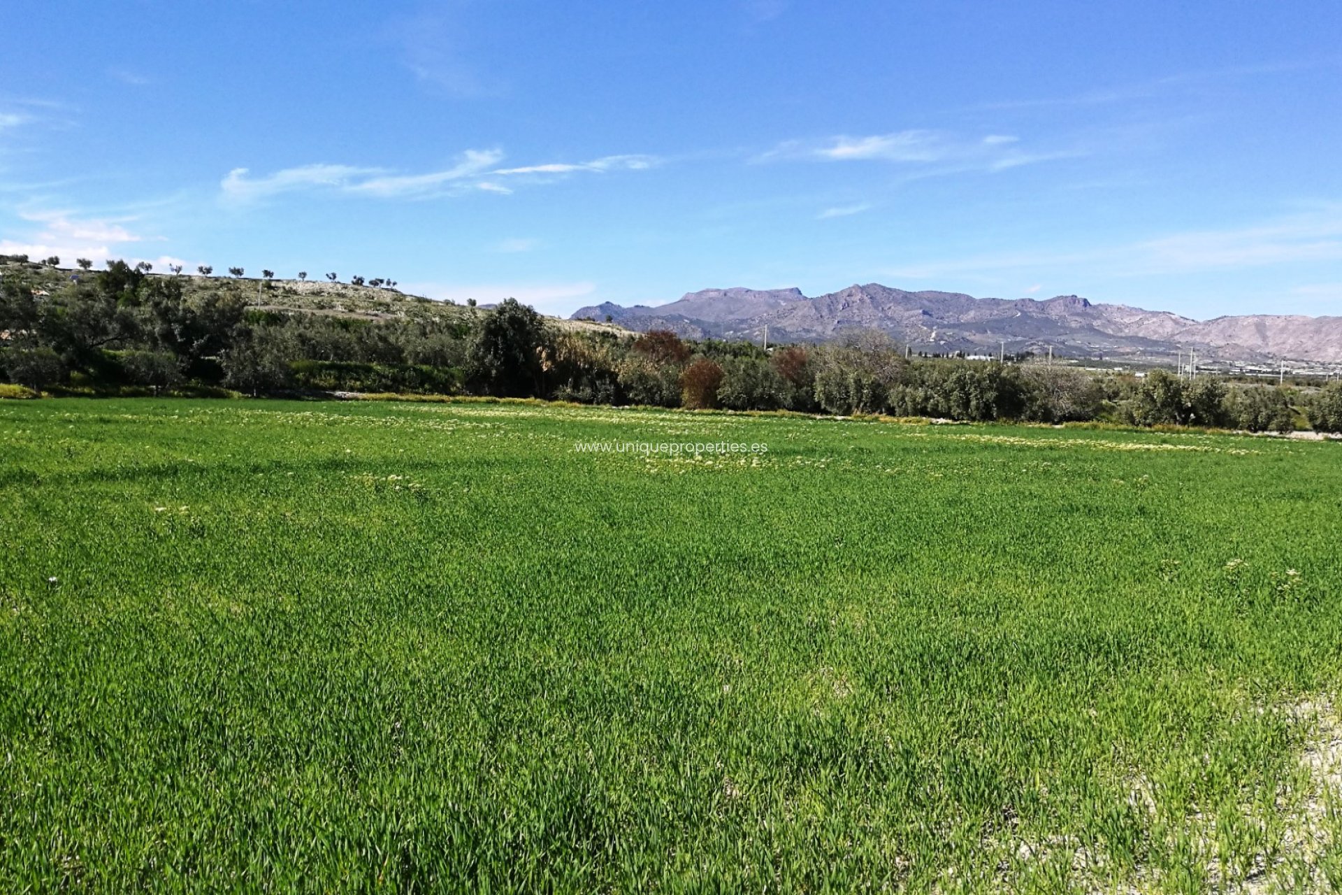 Revente - Land -
Tijola