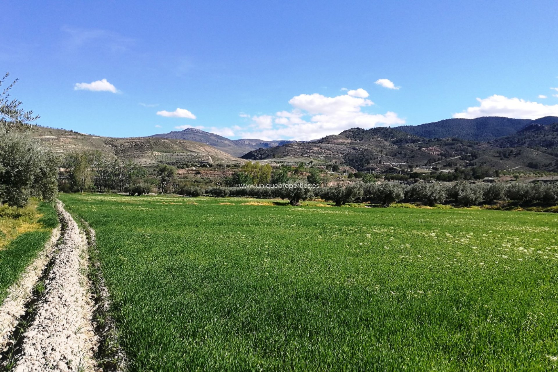 Revente - Land -
Tijola