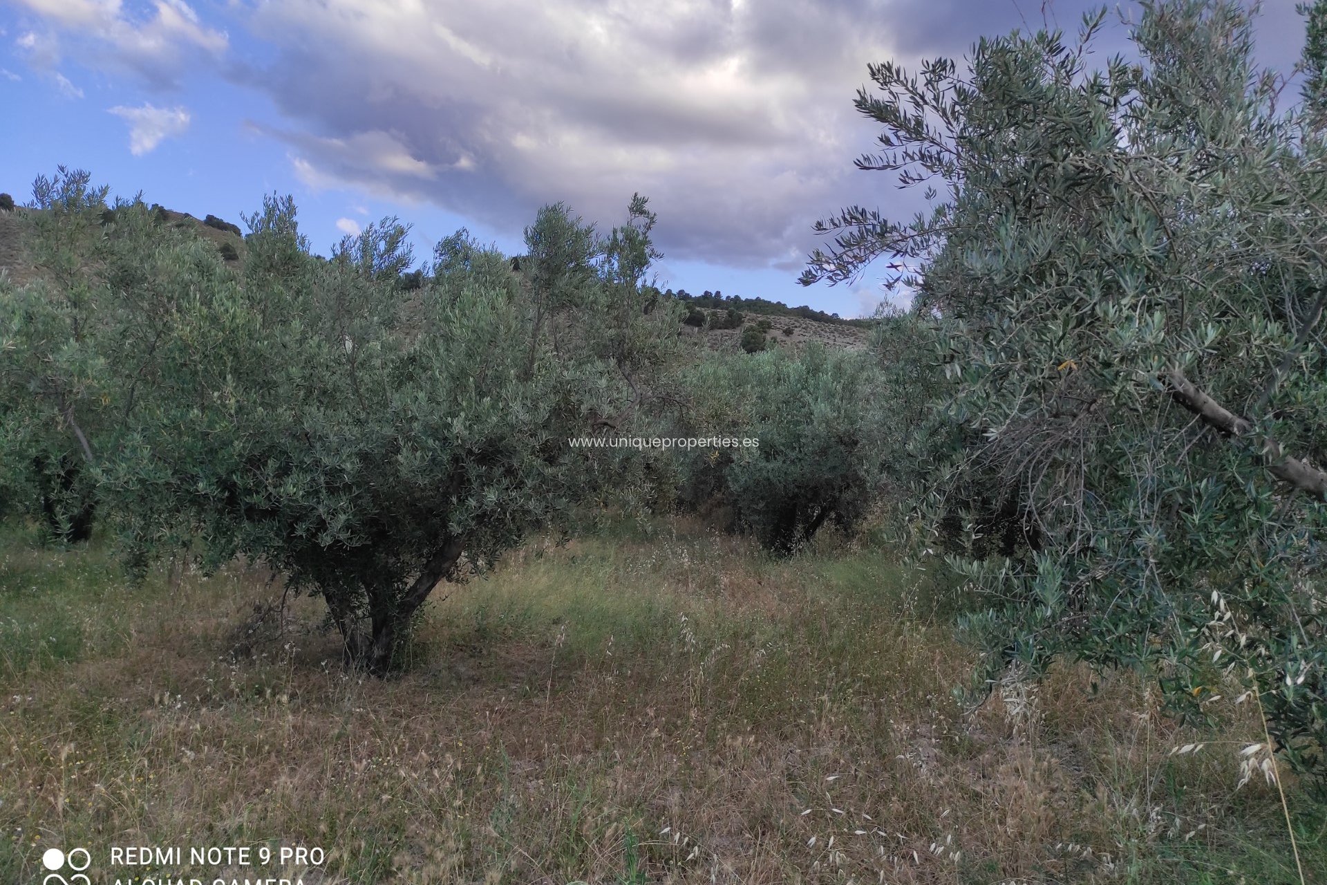 Revente - Villa -
Armuna de Almanzora