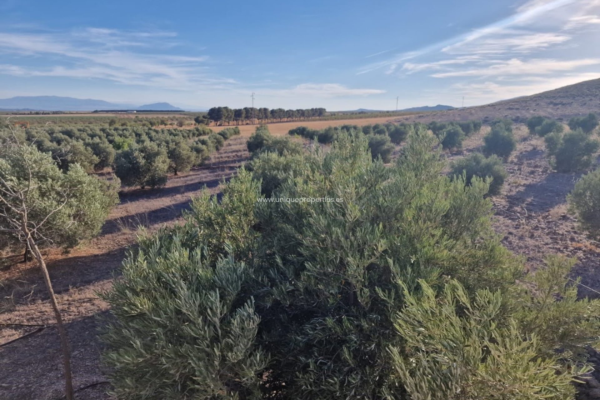 Revente - Villa -
Puebla de Don Fadrique