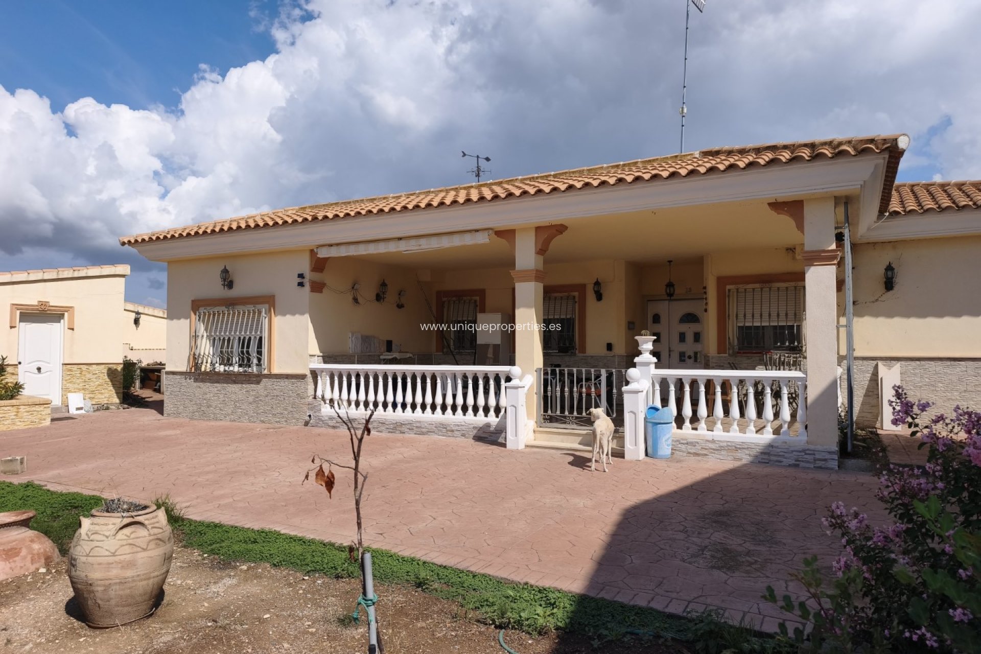 Revente - Villa -
Seron