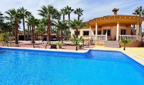 Villa - Reventa - CATRAL - Catral