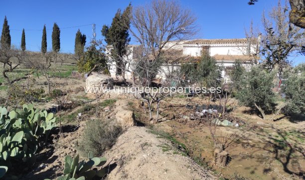 Reventa - Cortijo -
El Hijate