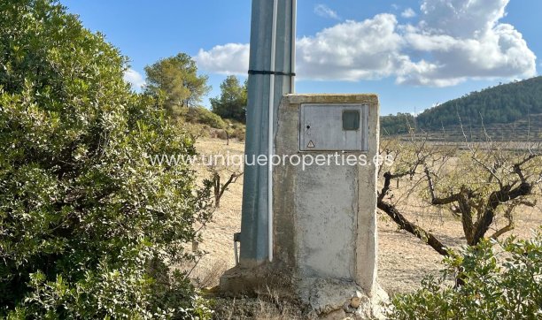 Resale - Plot / Land -
Bullas - Costa Calida