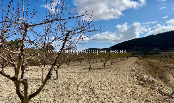 Resale - Plot / Land -
Bullas - Costa Calida