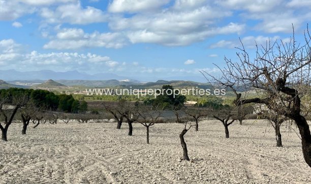 Resale - Plot / Land -
Bullas - Costa Calida