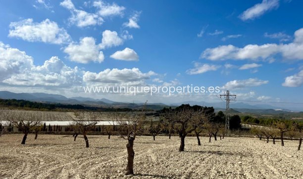 Resale - Plot / Land -
Bullas - Costa Calida