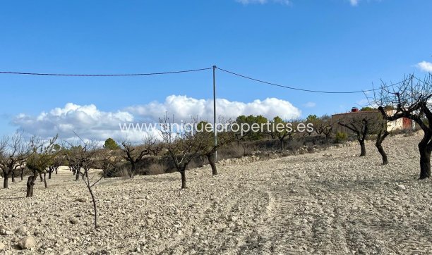 Resale - Plot / Land -
Bullas - Costa Calida