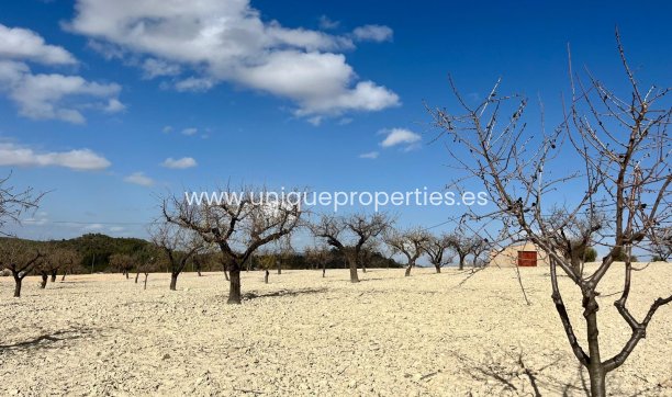 Resale - Plot / Land -
Bullas - Costa Calida