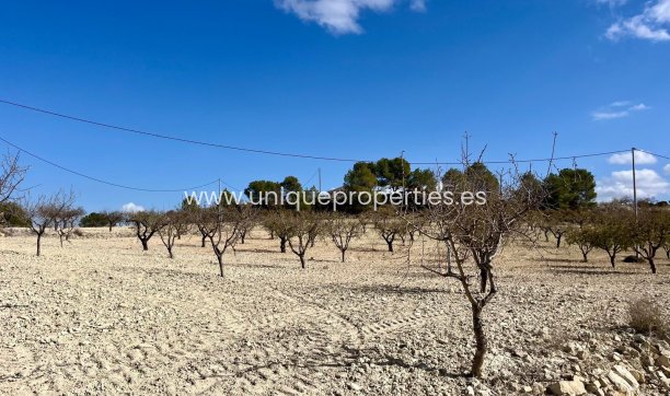 Resale - Plot / Land -
Bullas - Costa Calida