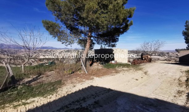 Resale - Cave House -
Cortes de Baza