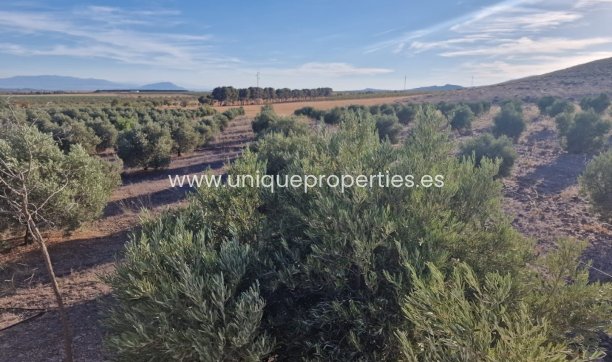 Reventa - Villa -
Puebla de Don Fadrique