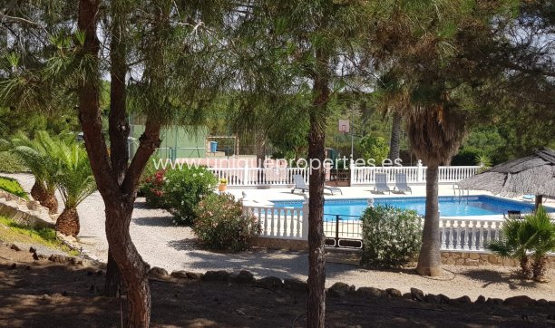 Resale - House -
Murcia
