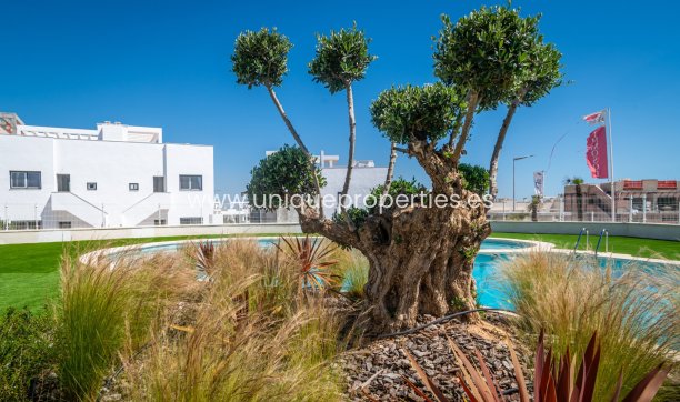 Resale - Ground Floor -
Torrevieja - Los Balcones