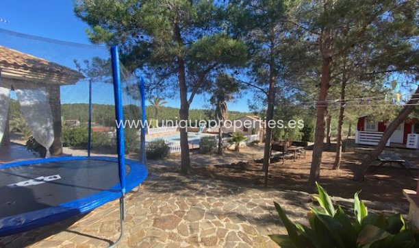 Resale - House -
Murcia