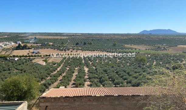 Reventa - Cave House -
Pozo Alcon