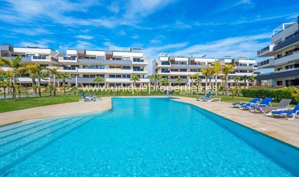 Herverkoop - Penthouse -
PLAYA FLAMENCA