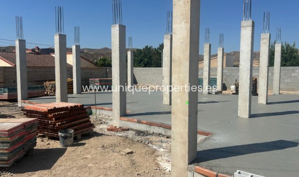 Nouvelle construction - Villa -
Arboleas