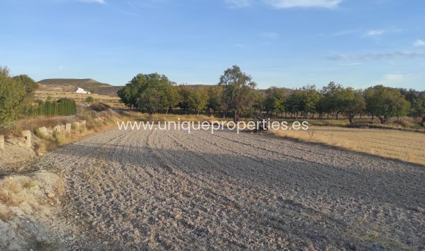 Reventa - Village House -
Galera