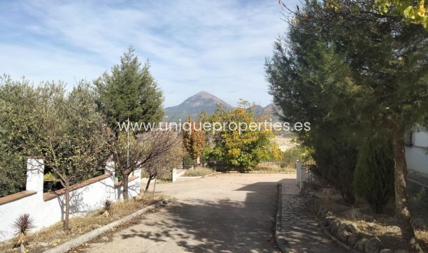 Reventa - Cortijo -
Huescar