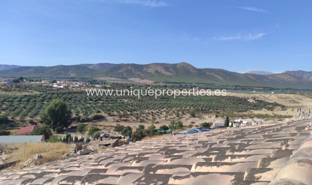 Herverkoop - Cave House -
Huescar