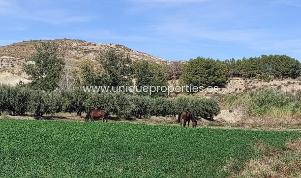 Reventa - Cortijo -
Tijola