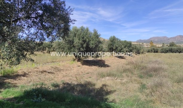 Reventa - Cortijo -
Tijola