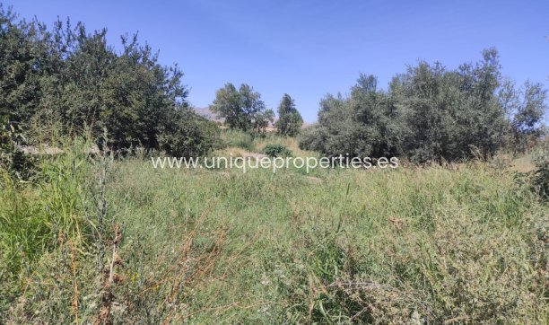 Reventa - Cortijo -
Tijola