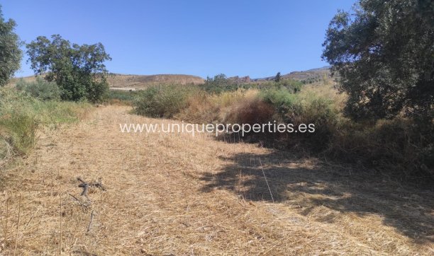 Reventa - Cortijo -
Tijola