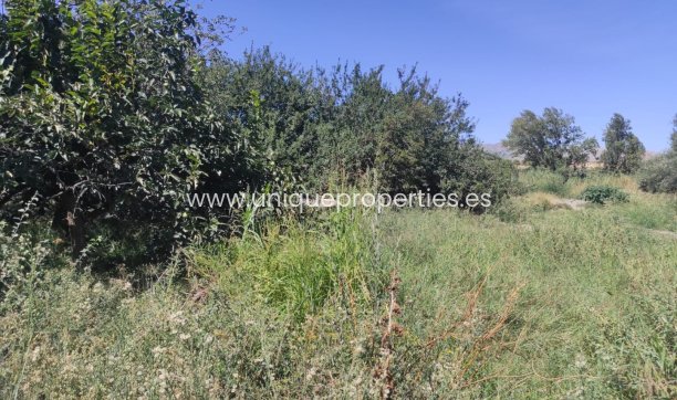 Reventa - Cortijo -
Tijola