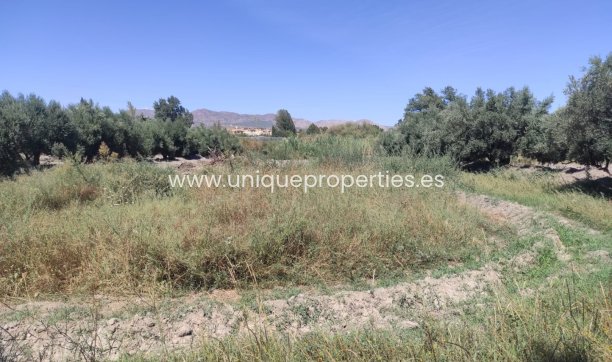 Reventa - Cortijo -
Tijola