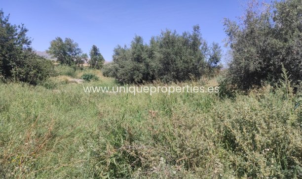 Reventa - Cortijo -
Tijola