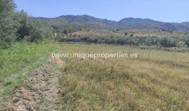 Reventa - Cortijo -
Tijola