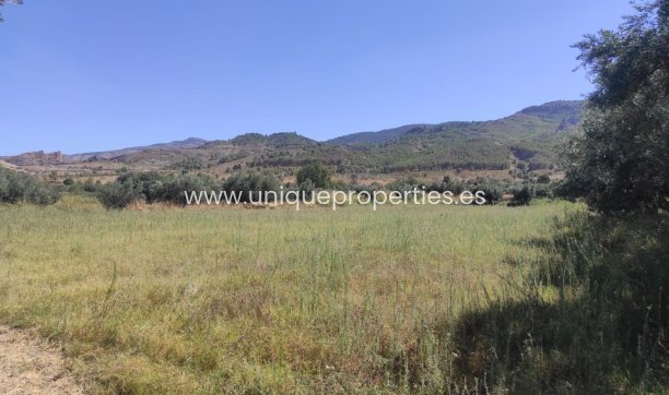 Reventa - Cortijo -
Tijola