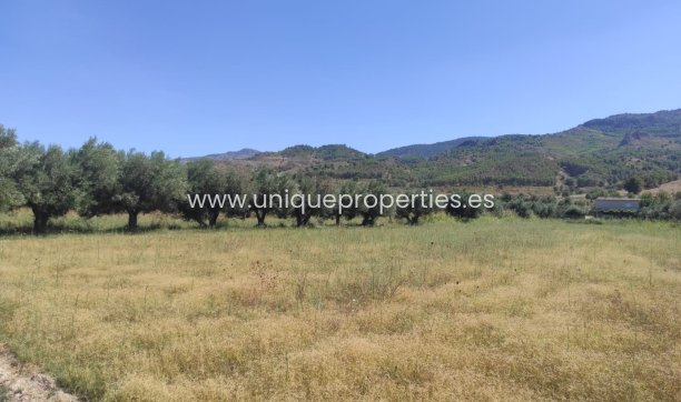 Reventa - Cortijo -
Tijola