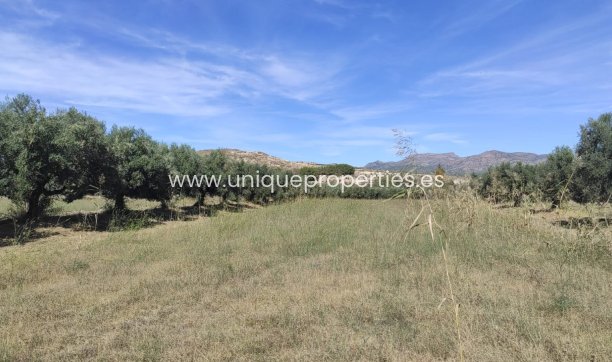 Reventa - Cortijo -
Tijola