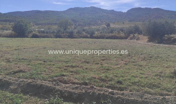 Reventa - Cortijo -
Tijola