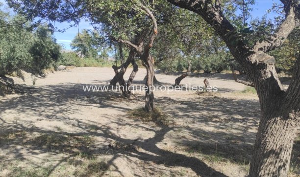 Reventa - Cortijo -
Tijola