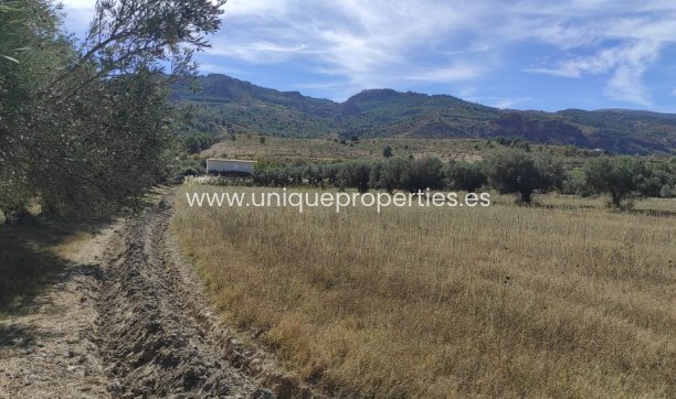 Reventa - Cortijo -
Tijola