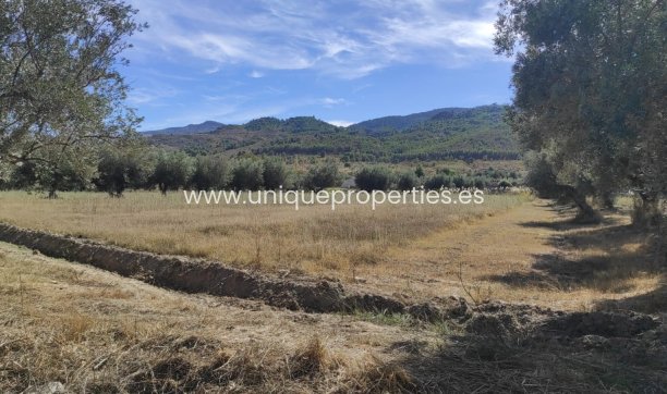 Reventa - Cortijo -
Tijola