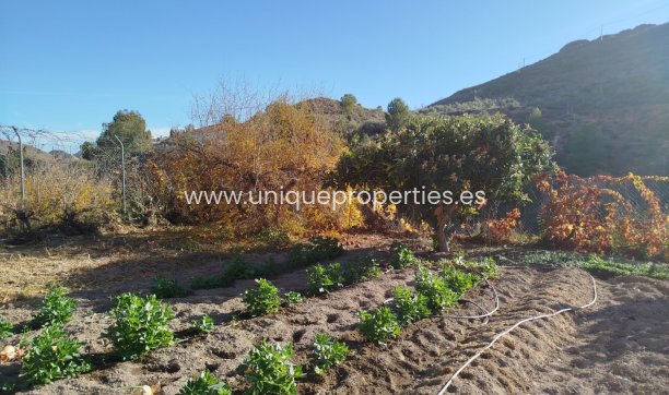 Herverkoop - Villa -
Macael