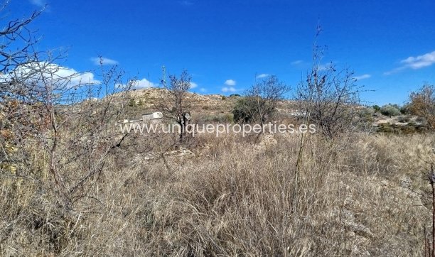 Reventa - Land -
Lucar