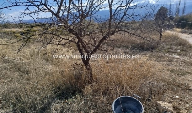 Reventa - Land -
Lucar