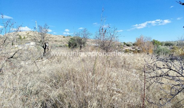 Reventa - Land -
Lucar