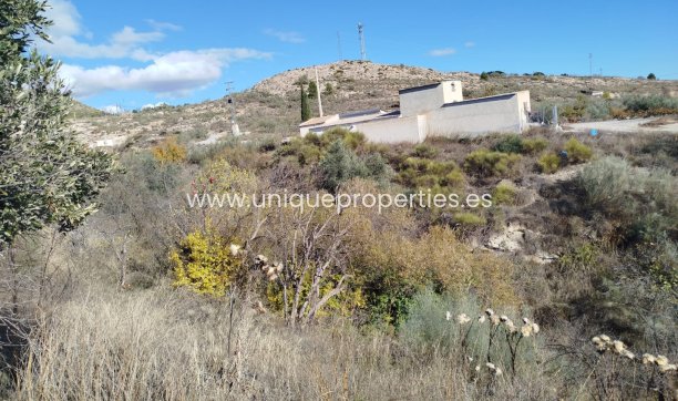 Reventa - Land -
Lucar