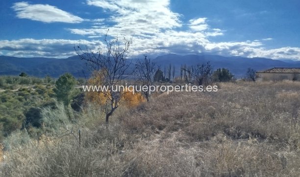 Reventa - Land -
Lucar