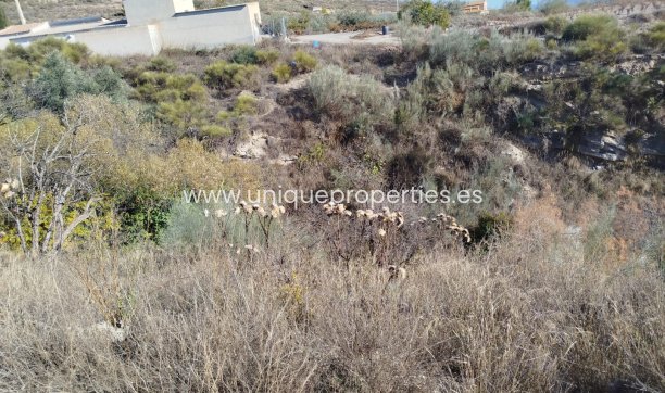 Reventa - Land -
Lucar