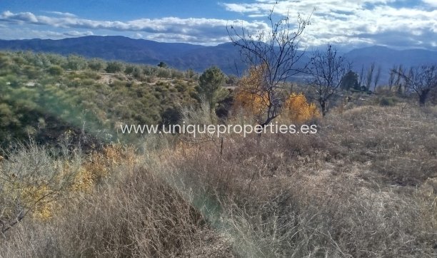 Reventa - Land -
Lucar