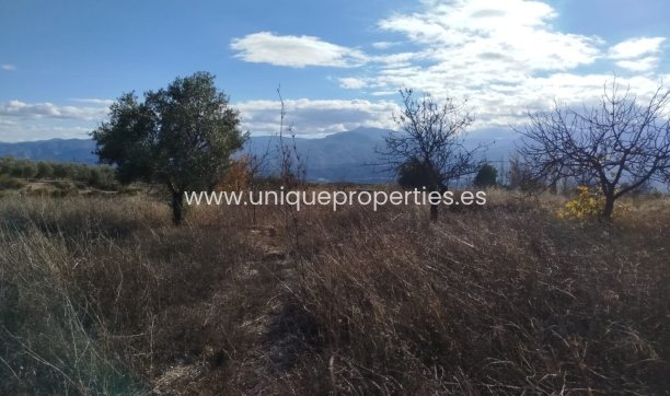 Reventa - Land -
Lucar