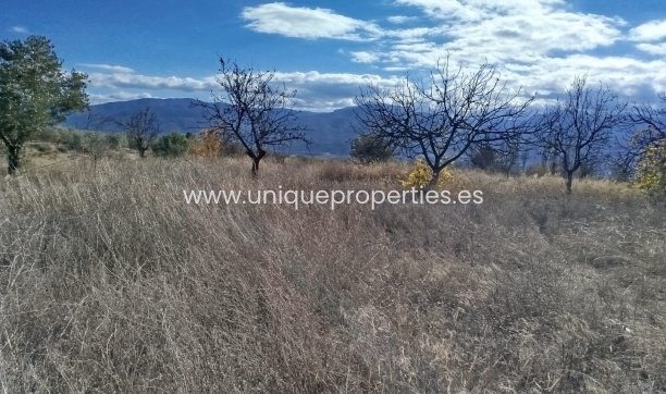 Reventa - Land -
Lucar